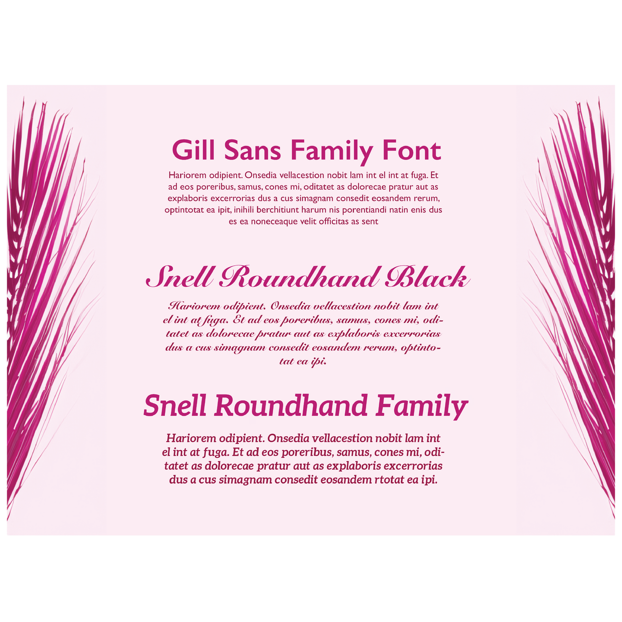 Re-Branding Services